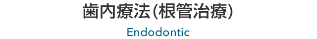 歯内療法